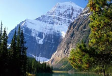 Ming官方宣布重要助攻新规，雄鹿引发争议！